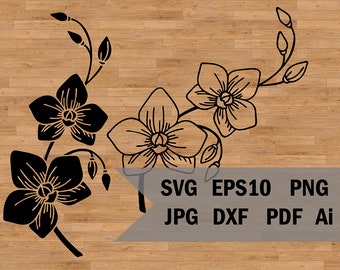 Orchid svg template, Orchid branch Silhouette flowers Tropical leaves,  Template Cut File, SVG for Cricut and Silhouette, Stencil Tropical