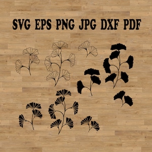 Archivo svg de rama de ginkgo, hoja de ginkgo, clipart de ginkgo, hojas de ginkgo biloba, svg botánico, svg de tatuaje de flor, vector botánico, svg de arte vectorial