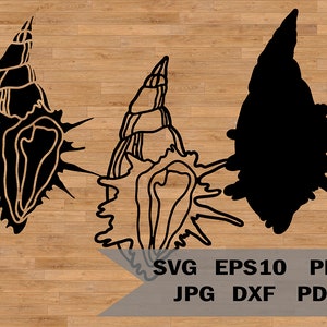 Seashell svg template, sea shell svg, shellfish svg, beach shell svg, Ocean svg, decor laser cut template, SVG for Cricut and Silhouette