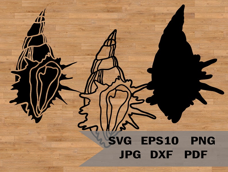 Seashell Svg Template Sea Shell Svg Shellfish Svg Beach - Etsy