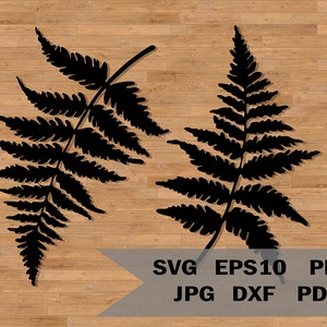 Varenbladeren sjabloon svg, stencilbladeren, natuur svg, lasergesneden bestand, bladeren lasergesneden bestand Cricut silhouet, digitale varenbladeren afdrukken