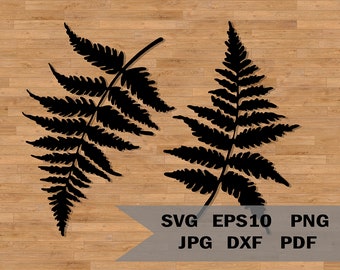 Farn Blätter Vorlage svg, Stencil Blätter, Natur svg, Laser cut Datei, Blätter Laser cut Datei Cricut Silhouette, print Digital Farn Blätter