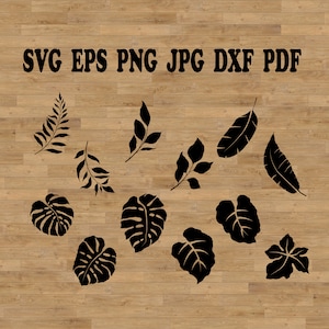 Tropische Blätter, Blatt- und Zweig-Svg, Monstera-Vorlage, Blatt- und Zweig-Svg, Blatt-Schnitt-Datei, Blattvorlage, botanisches Design, Monstera-Svg, Blatt- und Zweig-Svg