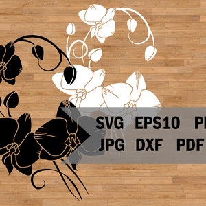 Plantilla de orquídea, plantilla de corte láser decorativa de rama con flores, SVG para Cricut y Silhouette, archivo de corte de orquídea, descarga instantánea