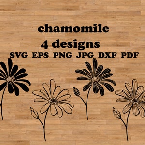 Archivo svg de manzanilla, svg de flor simple, svg de margarita, svg de flor, adorno de boda, dxf de flor, svg de flor silvestre