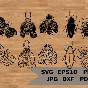 Insects template svg, Insect silhouette svg bundle, Insect svg, Insect clipart, beetle, fly stencil, Cut Files For Silhouette and Cricut