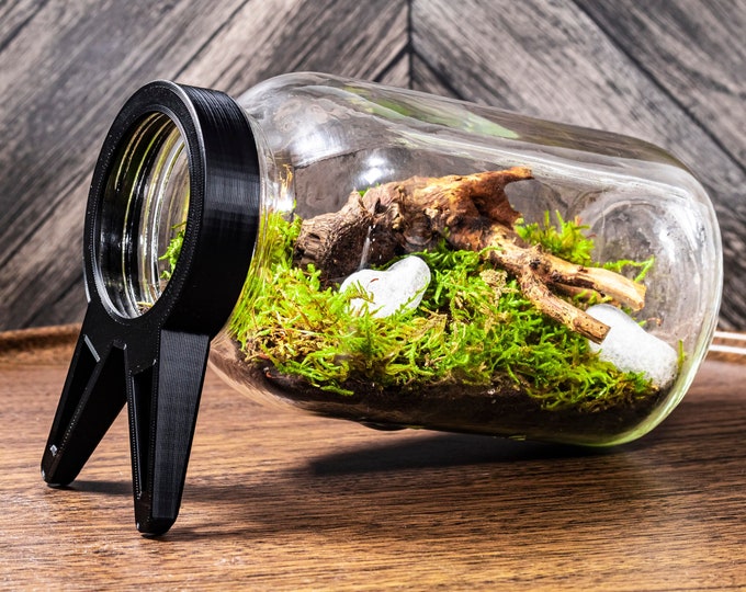 Mason Jar Terrarium Stand, Terrarium Kit, Mason Jar Terrarium, Small Terrarium Stand, Plant Stand, Glass Terrarium, Moss Terrarium Gift