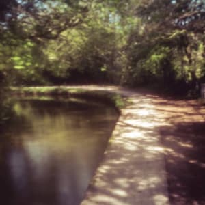 May include: A blurry image of a path leading through a forest with a stream of water on the left side of the path.
