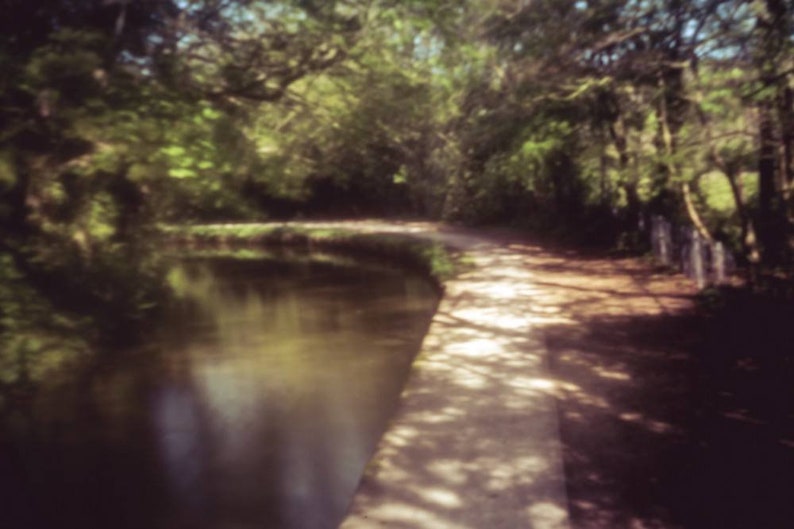 May include: A blurry image of a path leading through a forest with a stream of water on the left side of the path.