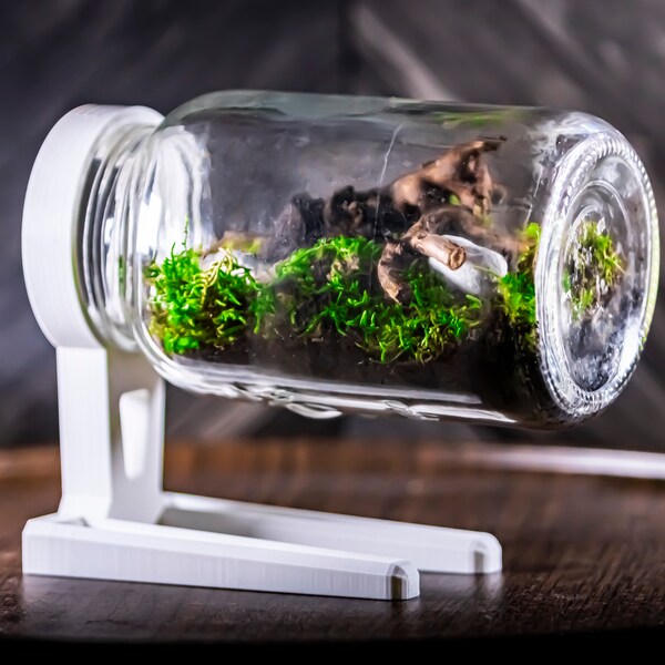 Terrarium Stand Etsy