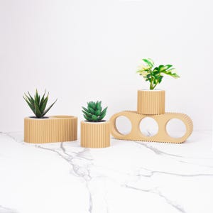 May include: Three beige ceramic planters with three different plants. The planters are on a beige shelf with three holes. The shelf is on a white marble surface.