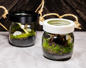 Mason Jar Terrarium Kit, Hanging Terrarium, Moss Terrarium, Plant Hanger, Indoor Hanging Plant, Simple Terrarium Gift, Ceiling Planter Gift