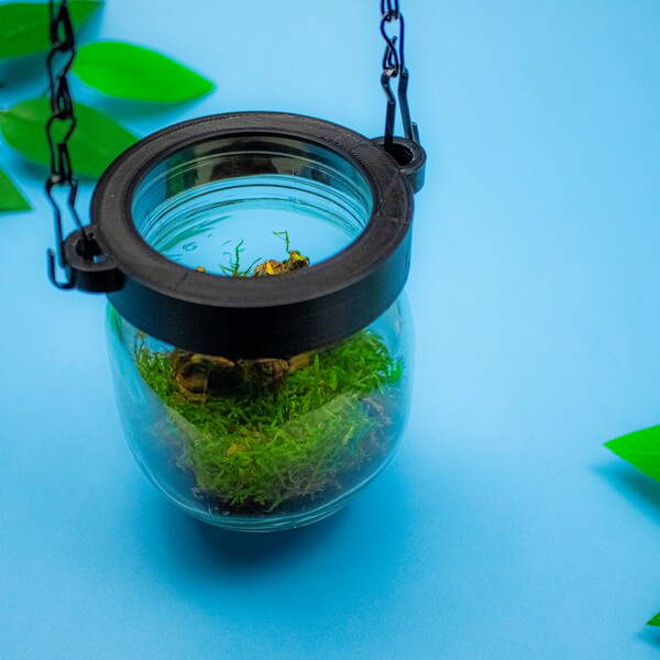 Terrarium Kit, Mason Jar Terrarium, Moss Terrarium, Plant Hanger, Indoor Hanging Plant, Hanging Terrarium Gift, Ceiling Planter Gift