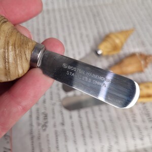 May include: A set of three small, wooden, seashell-shaped butter knives. The knives have stainless steel blades with the text "BOSTON WAREHOUSE STAINLESS CHINA" printed on the blade.
