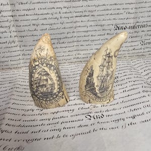 Scrimshaw whale - Etsy 日本