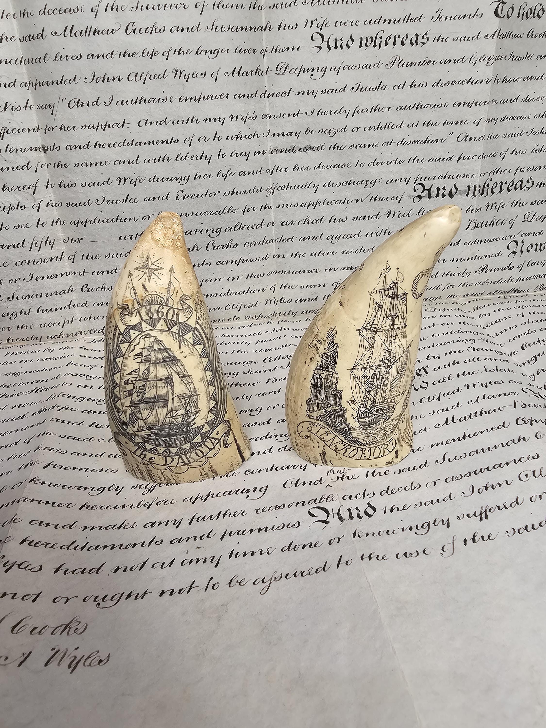Scrimshaw whale - Etsy 日本
