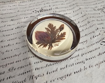 Gepresster Blumen Briefbeschwerer, Sammler Briefbeschwerer, Neuheit Schreibtisch Dekor