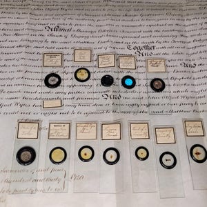 Vintage Scientific Biological Microscope Slides with Samples, Labels and Box,  Vintage Curio
