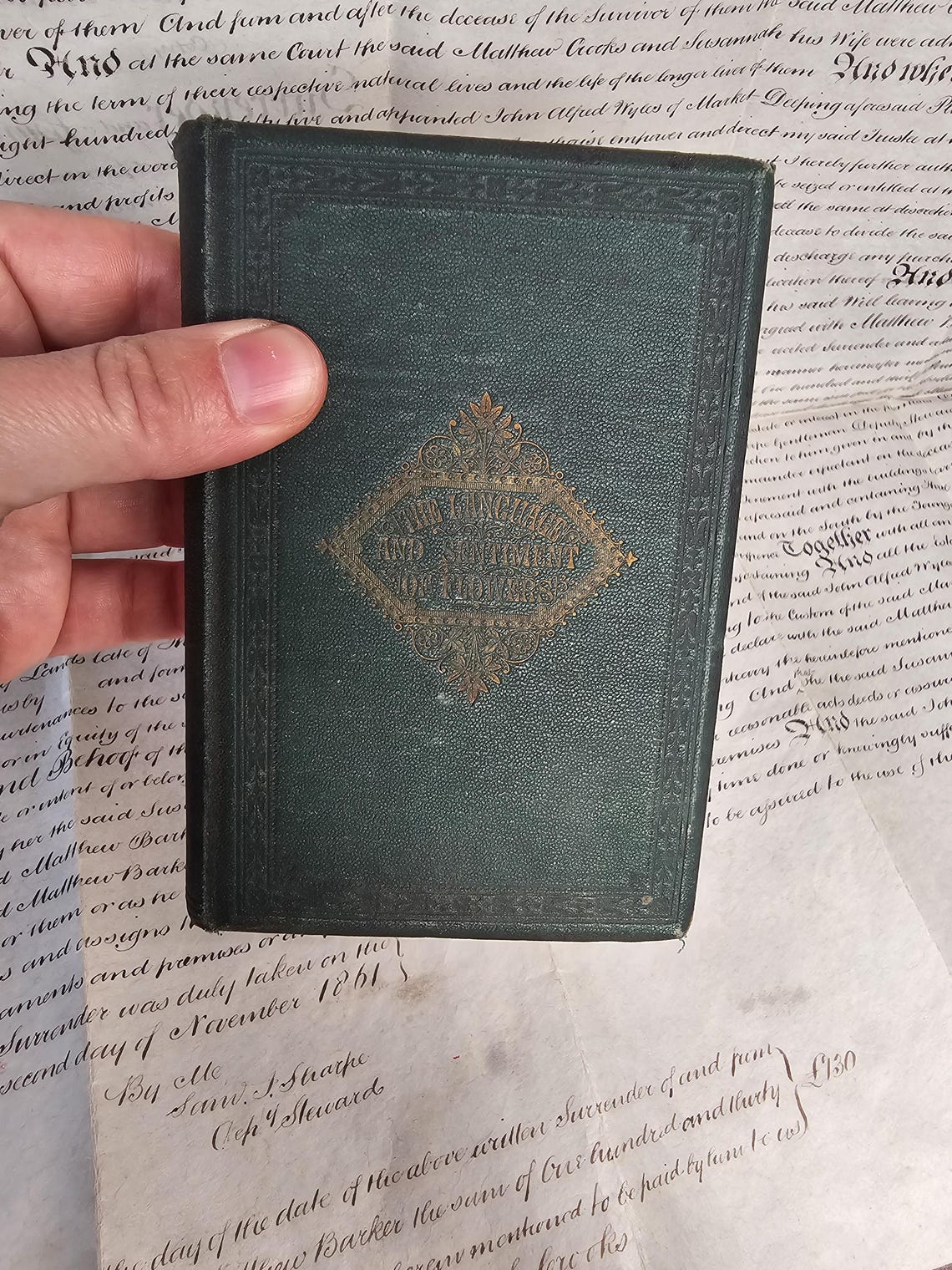 Stunning Antique 1860s The Language and Sentiment Flowers Poetry and Quotes Book With Coloured Plate Illustrations, Victorian Floriography, photo 2 of 5