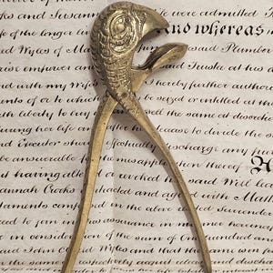 Puede incluir: Un cascanueces de latón con forma de cabeza de pájaro y un patrón texturizado similar a escamas en el exterior. La herramienta cuenta con dos mangos largos y delgados que se unen en una bisagra, permitiendo que las mandíbulas abran y cierren.