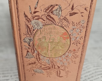 Libro antiguo de la década de 1880: Vida en el Nido del Águila: Un cuento de Afganistán, tapa dura, bonito libro antiguo rosa.