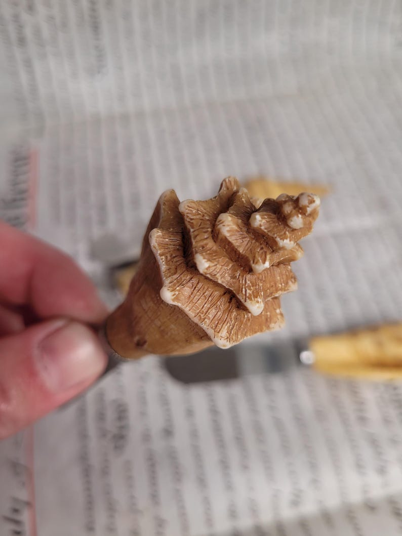 May include: A close-up of a brown seashell with a spiral pattern. The shell is smooth and has a white tip.