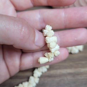 May include: A white, carved bone necklace with a flower design. The necklace is strung together with a white cord.
