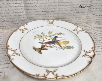 Może przedstawiać: Biały porcelanowy talerz ze złotą obwódką i szczegółowym wzorem ptaków i kwiatów pośrodku. Talerz ma falisty brzeg i jest umieszczony na tle postarzanego papieru.