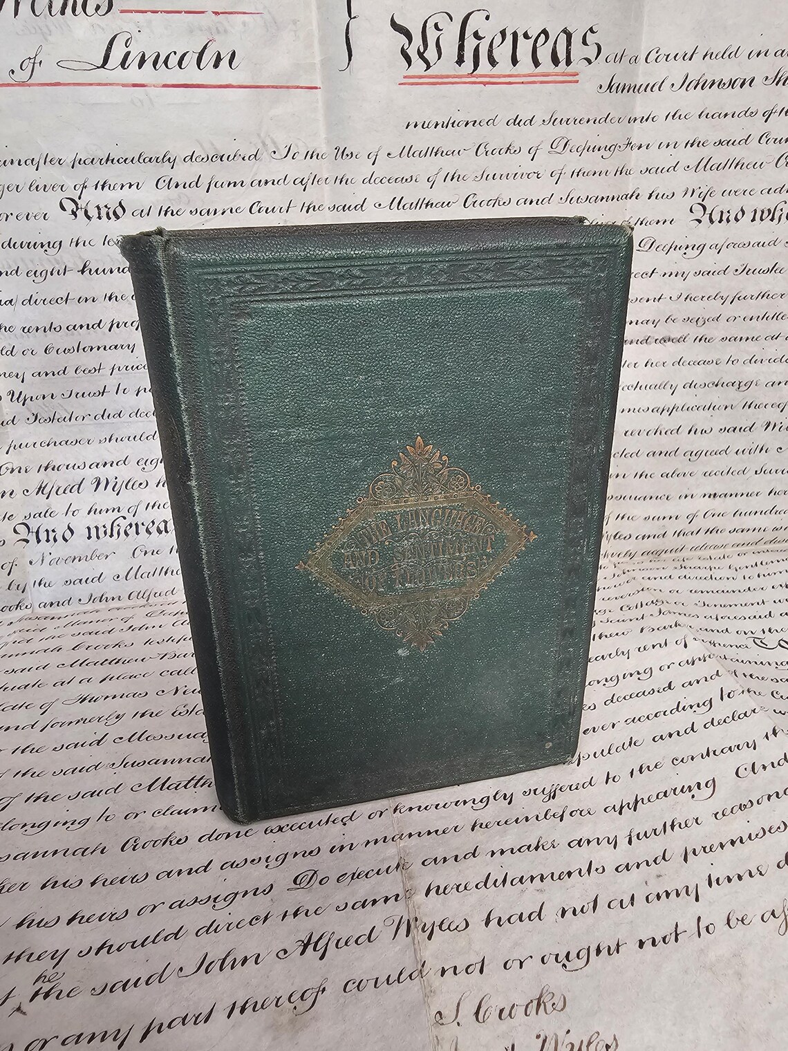 Stunning Antique 1860s The Language and Sentiment Flowers Poetry and Quotes Book With Coloured Plate Illustrations, Victorian Floriography, photo 1 of 5