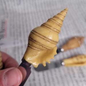 May include: A seashell shaped cheese knife with a wooden handle. The knife is made of stainless steel and has a sharp blade. The seashell is a light brown color and has a spiral pattern.