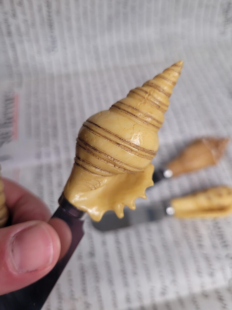 May include: A seashell shaped cheese knife with a wooden handle. The knife is made of stainless steel and has a sharp blade. The seashell is a light brown color and has a spiral pattern.