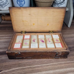 Vintage Scientific Biological Microscope Slides with Samples, Labels and Box,  Vintage Curio