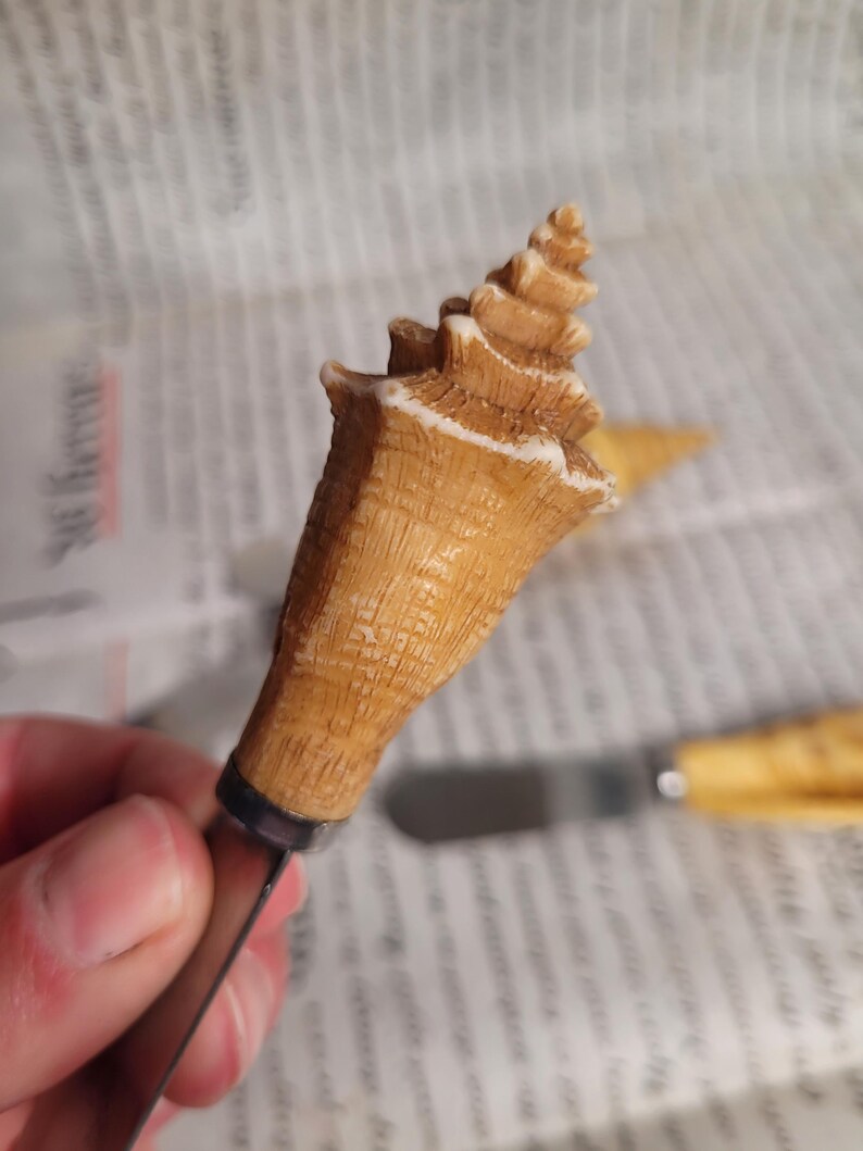 May include: A close-up of a brown seashell with a white tip. The shell is spiraled and has a textured surface. The shell is being held by a hand.