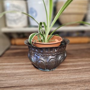 May include: A small spider plant in a decorative, aged copper-coloured planter. The planter has a detailed, embossed design around the sides. The plant has long, green and white striped leaves. The pot sits on a wooden surface.