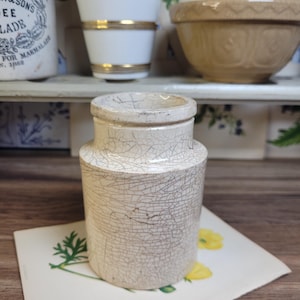 Antique French Stained Mustard Pot, Antique Ironstone,  Kitchen Decor, Stem Vase