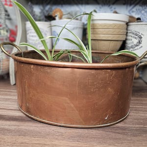 May include: A copper oval planter with brass handles, containing green and white spider plants. The planter sits on a wooden surface, with other decorative items in the background.