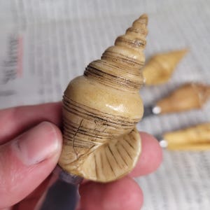 May include: A close-up of a seashell bottle opener. The seashell is a light brown color and has a spiral shape. The bottle opener is made of metal and has a black handle.