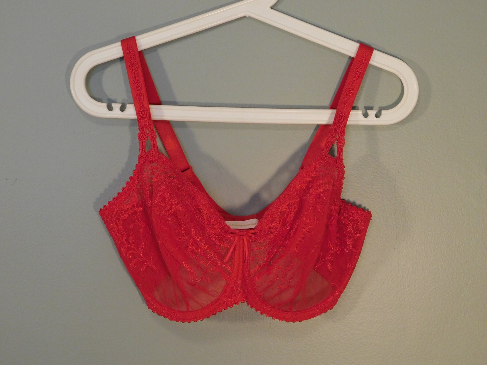 Prima Donna Bright Red Sheer Lace Bra - Etsy UK