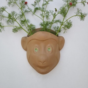 May include: A terracotta monkey planter with green eyes and a smiling mouth. The planter is filled with green plants with small red flowers.