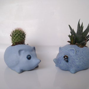 Handmade Ceramic Hedgehog Planter: Funny Animal Plant Pot