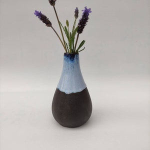 Pode incluir: Um pequeno vaso de cerâmica marrom escuro com um esmalte azul claro na metade superior. O vaso está cheio de flores de lavanda roxas.