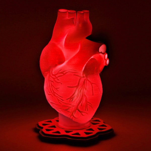 Human Heart - 3D Printed Accent Lamp, Anatomical, Table Lamp, Novelty Lamp, LED Light, Ambient Light, Small Accent Lamp, Decoration Gifts