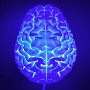 Human Brain - 3D Printed Accent Lamp, Wall Hanging or Table Top Novelty Lamp, LED Light, Ambient Light, Decoration Gifts
