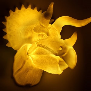 Triceratops - Wall Hanging 3D Printed Accent Lamp, Triceratops, Novelty Lamp, LED Light, Ambient Light, Small Accent Lamp, Decoration Gifts