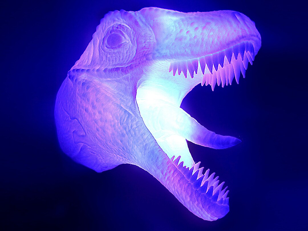 Velociraptor - Wall Hanging 3D Printed Accent Lamp, Jurassic, Novelty Lamp, LED Light, Ambient Light, Small Accent Lamp, Decoration Gifts