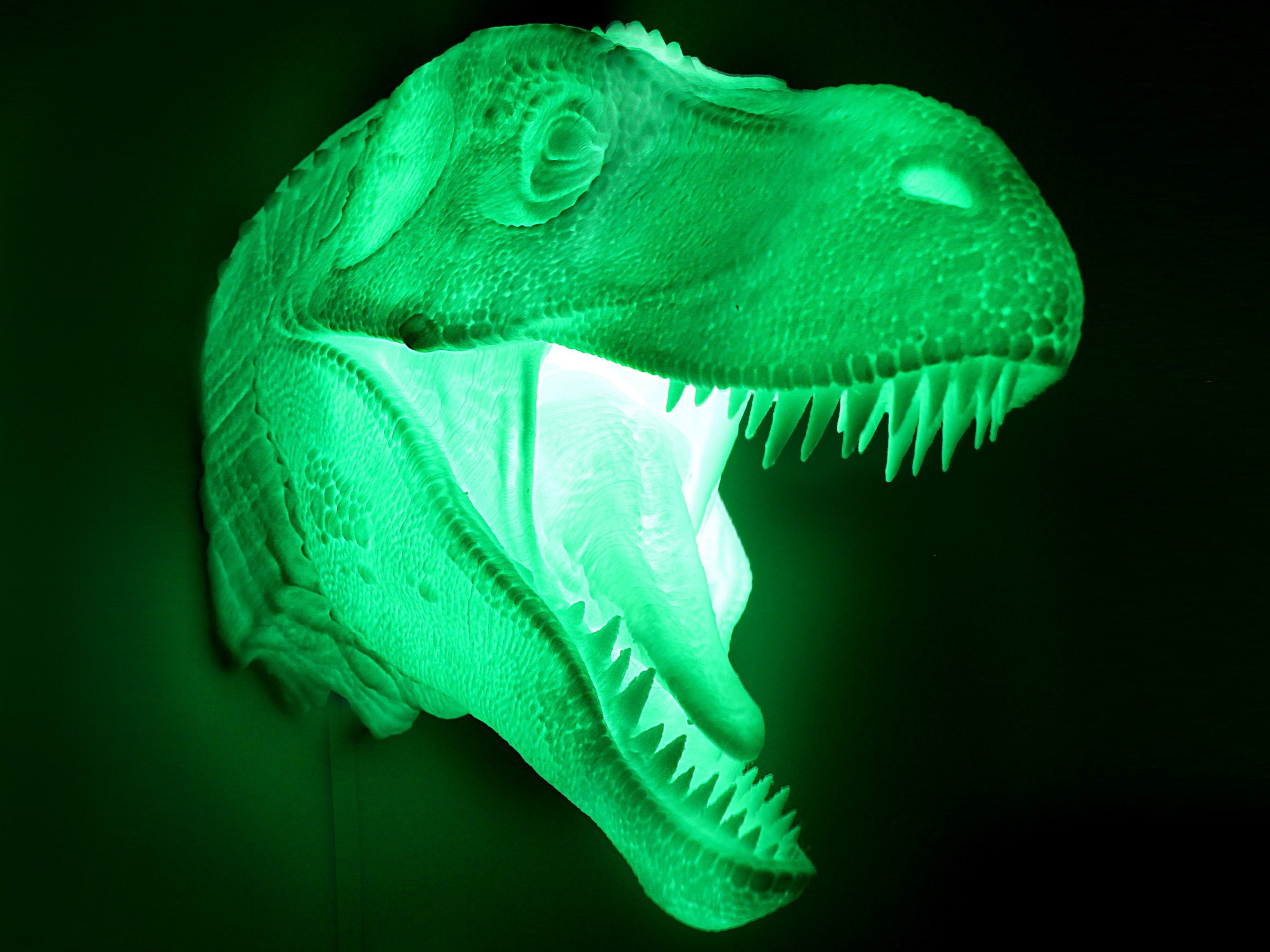 Tyrannosaurus Rex - Wall Hanging 3D Printed Accent Lamp, t-rex, Novelty Lamp, LED Light, Ambient Light, Small Accent Lamp, Decoration Gifts