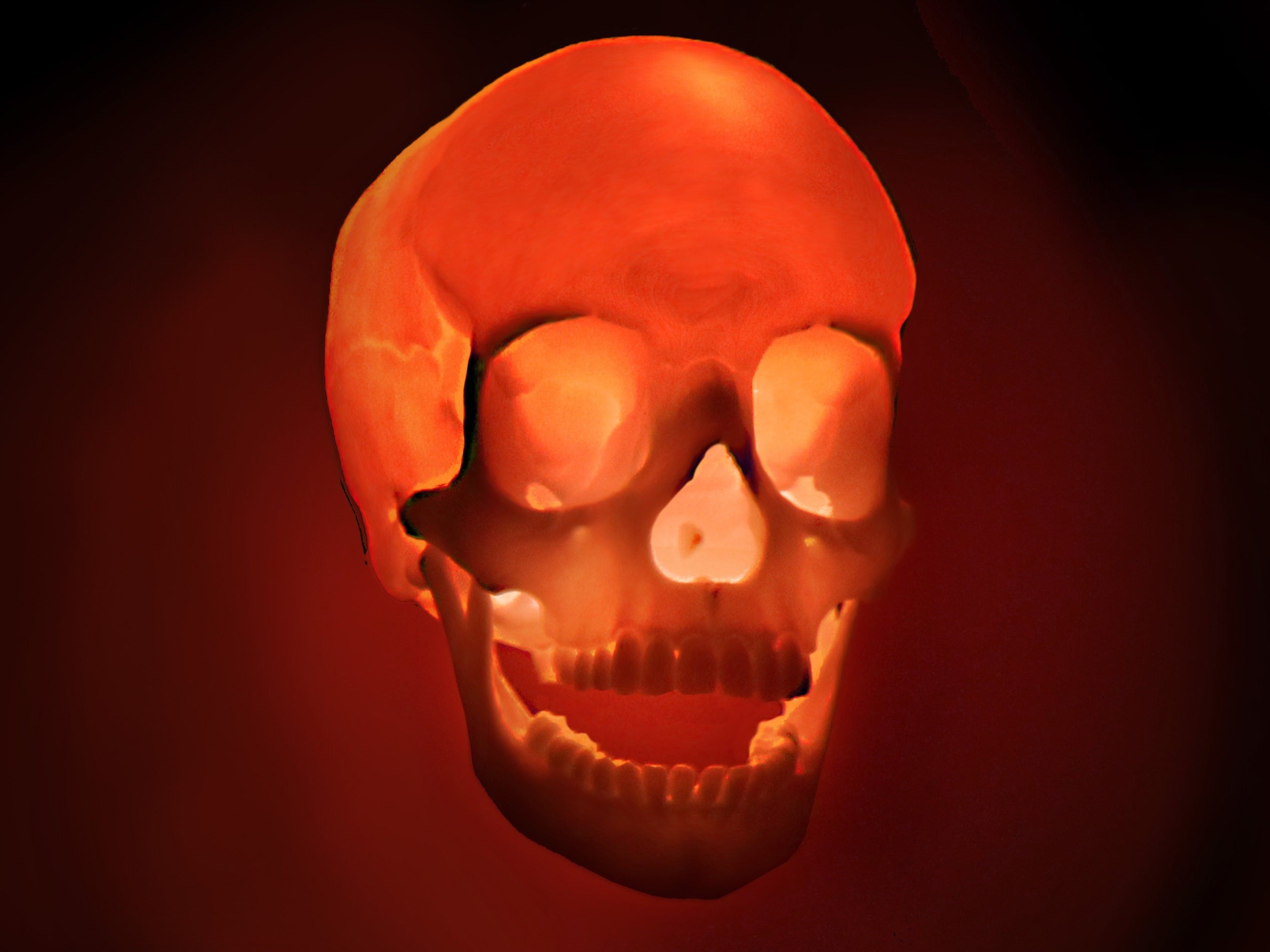 Human Skull Light - Etsy