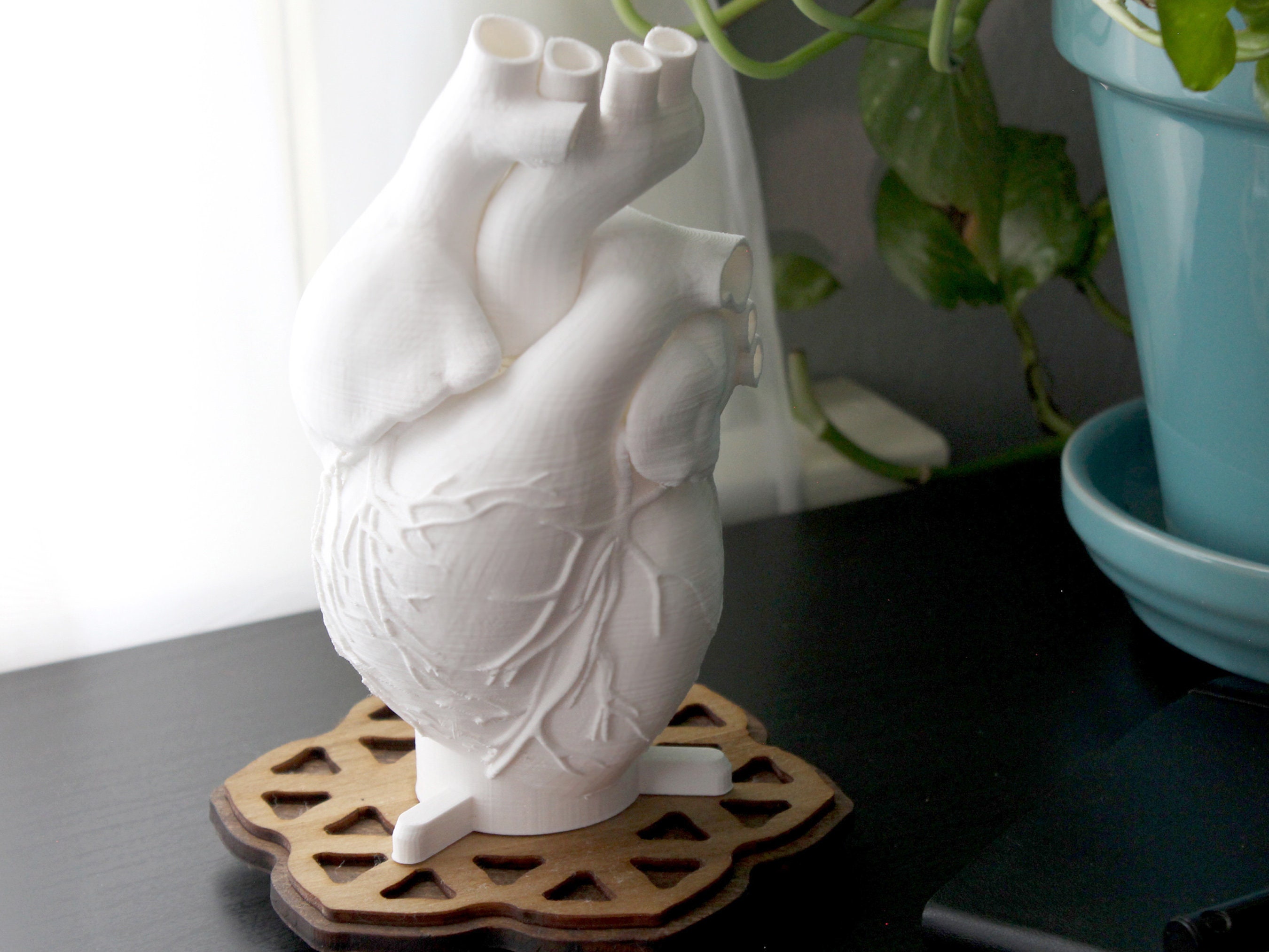 Human Heart 3D Printed Accent Lamp Anatomical Table Lamp - Etsy