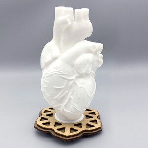 Human Heart 3D Printed Accent Lamp, Anatomical, Table Lamp, Novelty