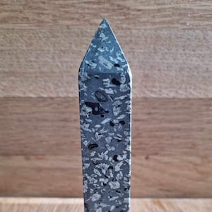 Preseli companion stone point